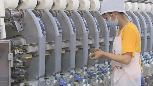 屏山县税务局 以精细服务催生纺织产业活力